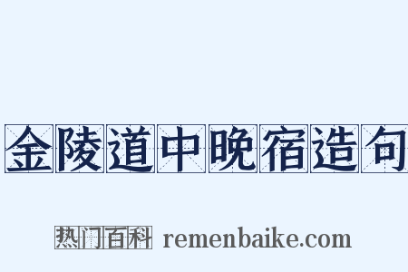 金陵道中晚宿造句是什么意思的图片
